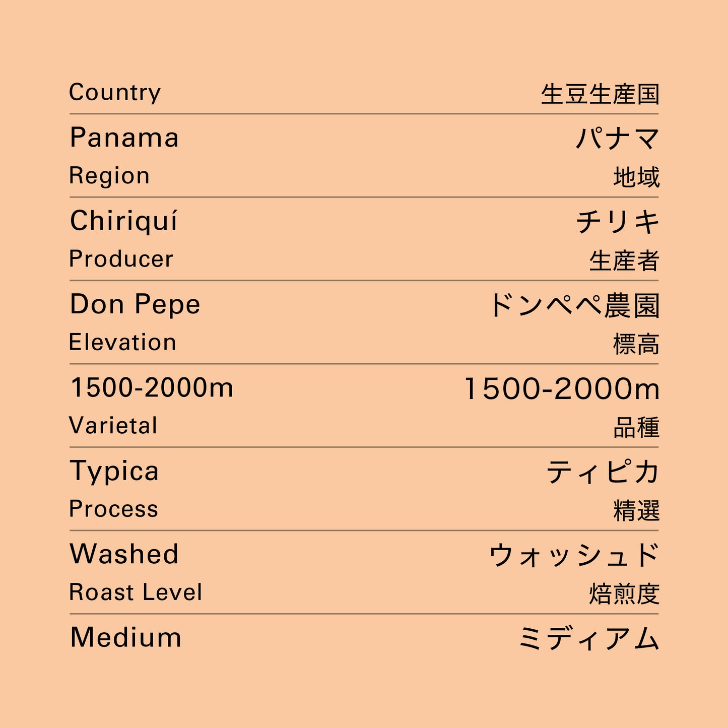 no.45 パナマ ドンペペ ティピカ ウォッシュド