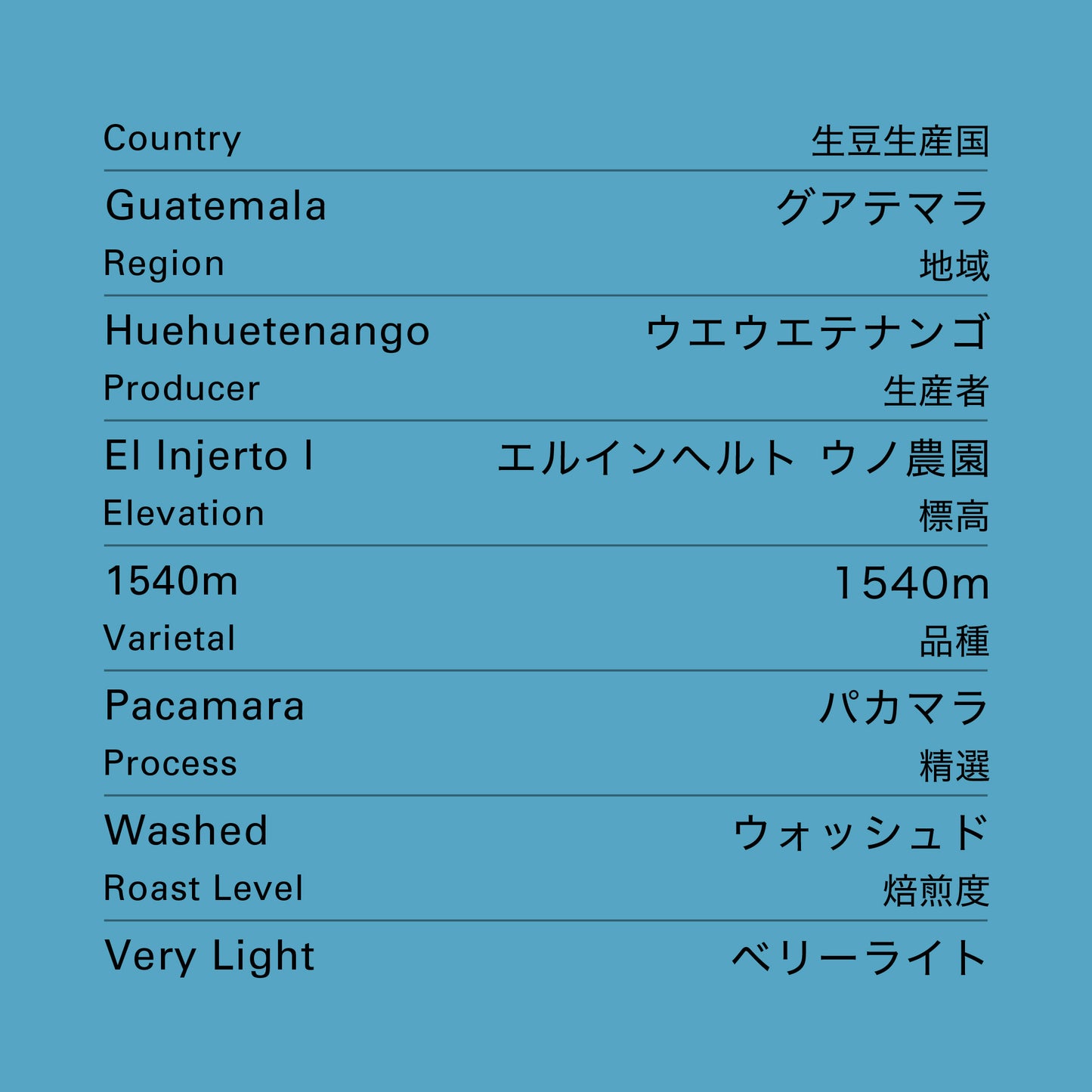 no.27 グアテマラ エルインヘルト ウノ パカマラ ウォッシュド 100g