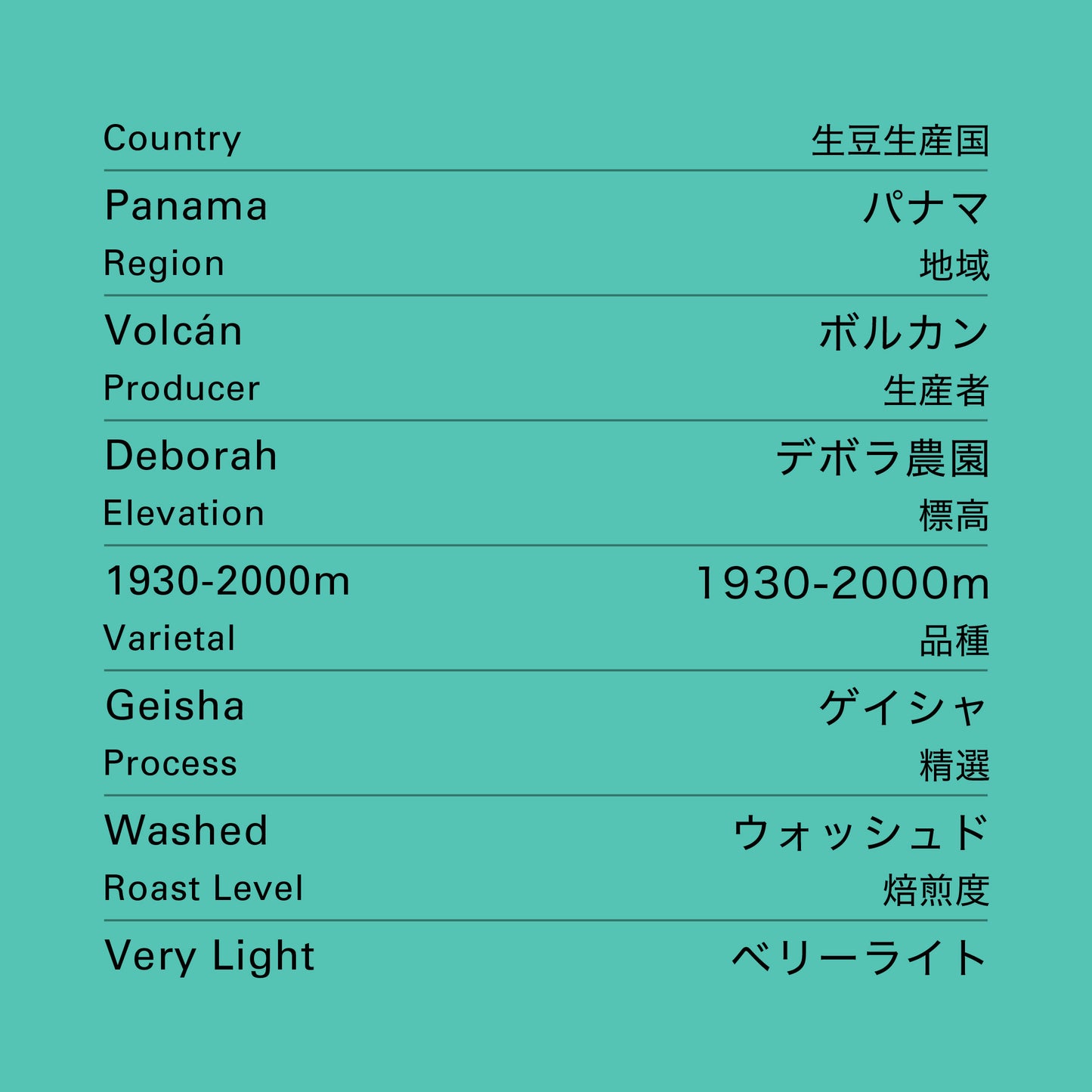 no.21 パナマ デボラ ウォッシュド