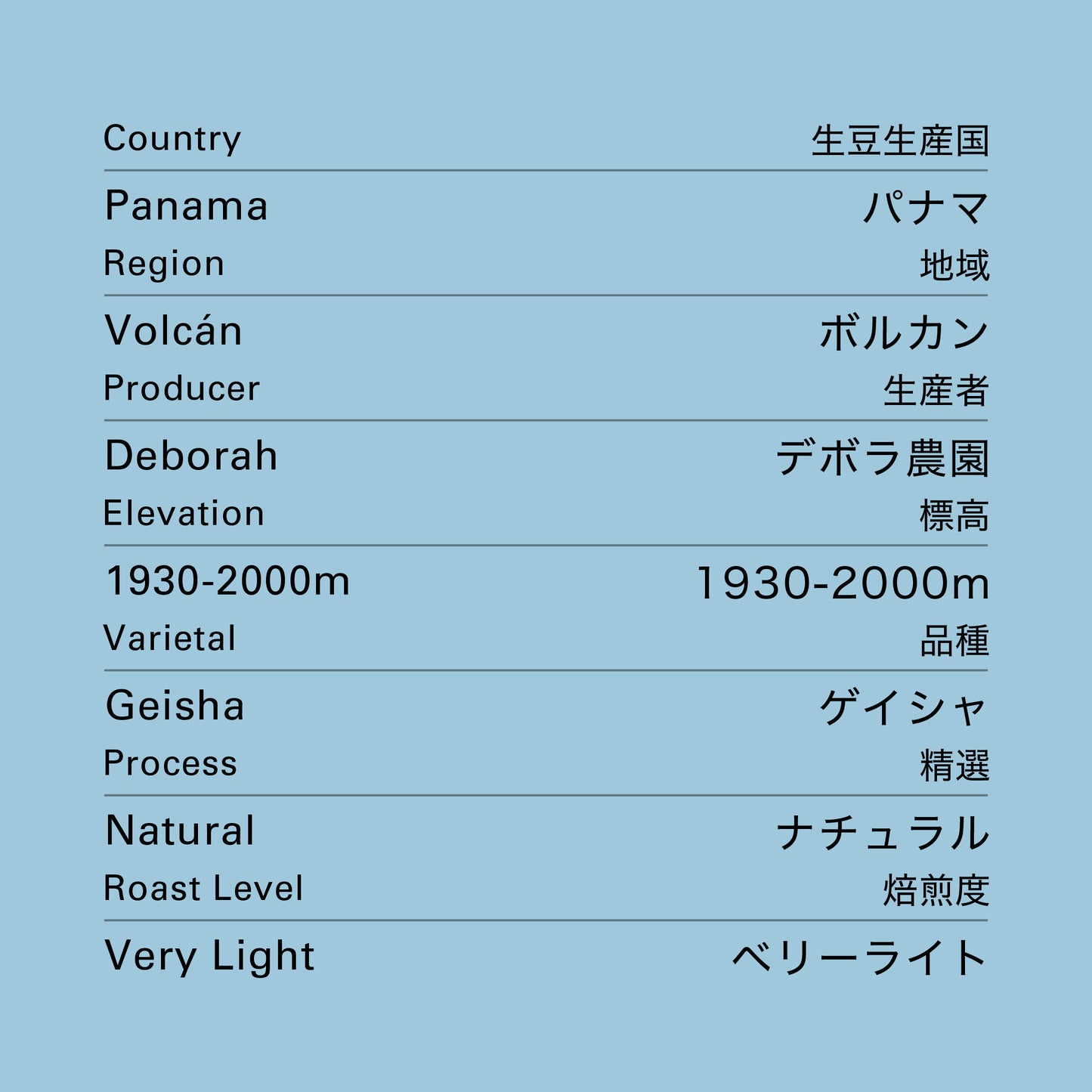no.22 パナマ デボラ ナチュラル