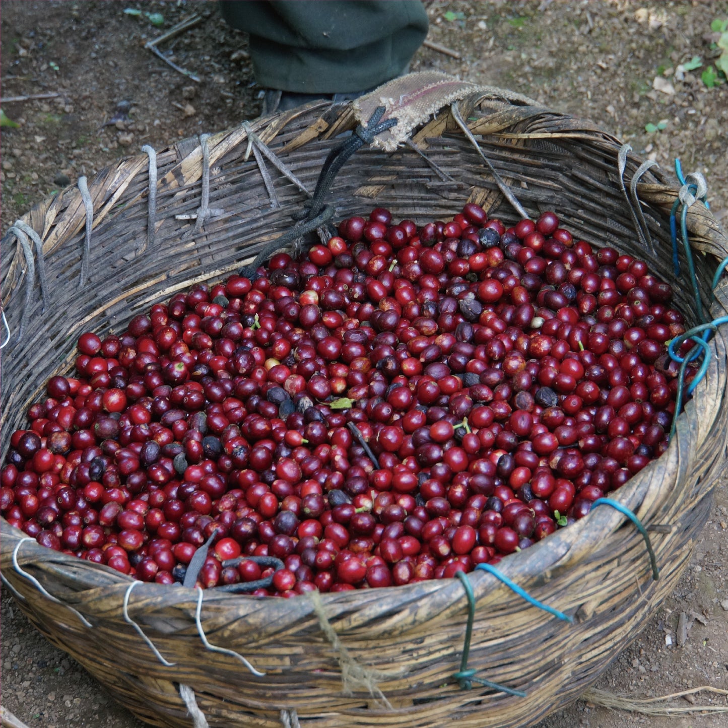 no.33 エルサルバドル ロスアルペス アイダ グランド リザーブ