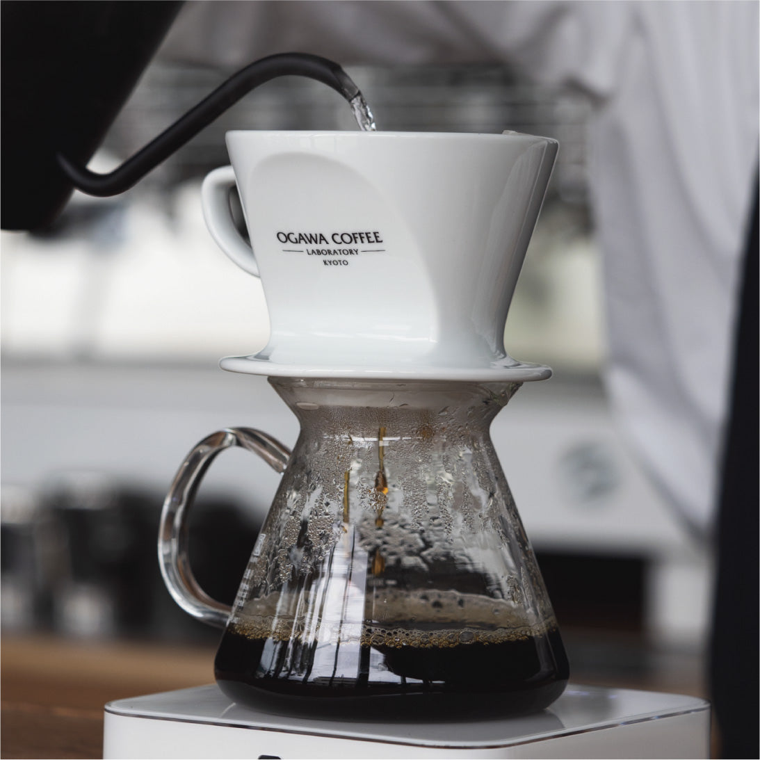 コーヒー ドリッパーカリタ HA102 波佐見焼 2~4人用