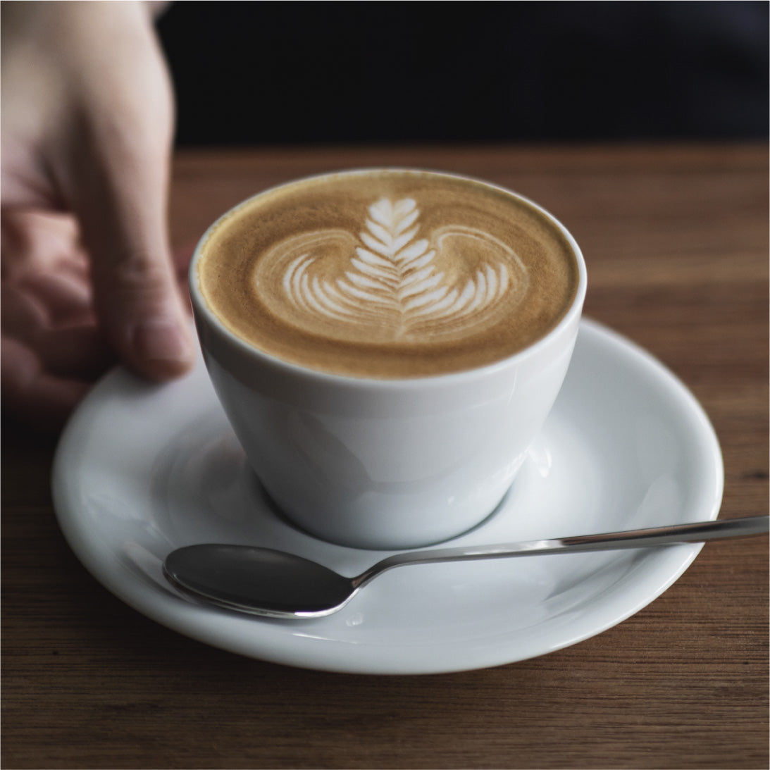 notNeutral MN Cappuccino Cup & Saucer 6oz (カプチーノ用 カップ & ソーサー)