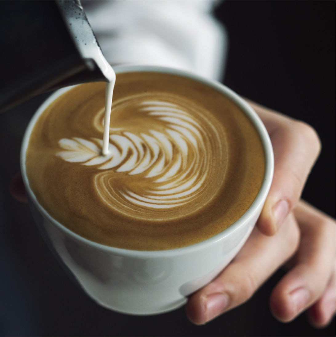 notNeutral MN Cappuccino Cup & Saucer 6oz (カプチーノ用 カップ & ソーサー)