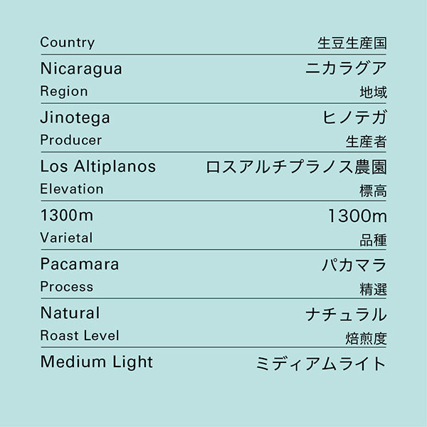 no.38 ニカラグア ロスアルチプラノス COE