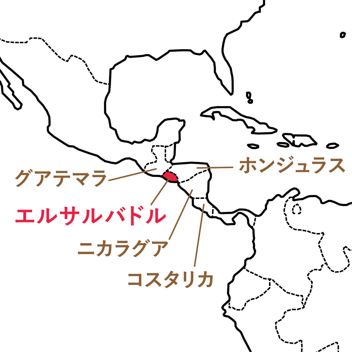 エルサルバドル ロスアルぺス アイダ グランド リザーブ(粉)150g
