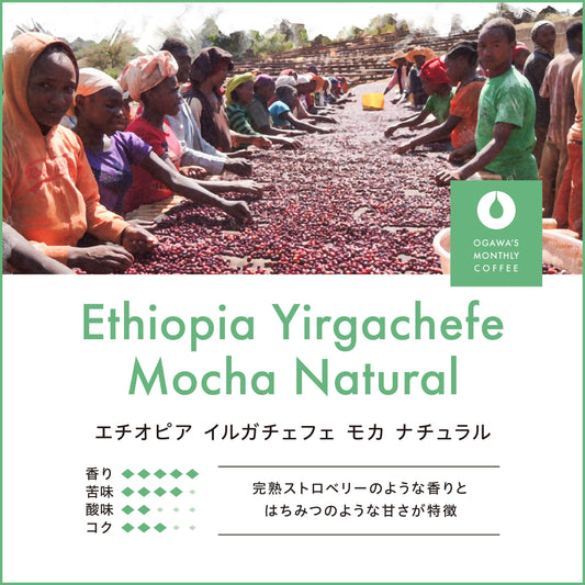 エチオピア イルガチェフェ モカ ナチュラル（豆） 150g　No.6222