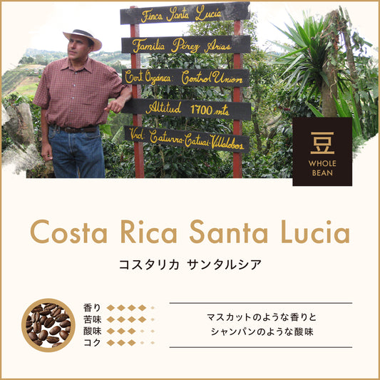 コスタリカ サンタルシア(豆)150g No.939