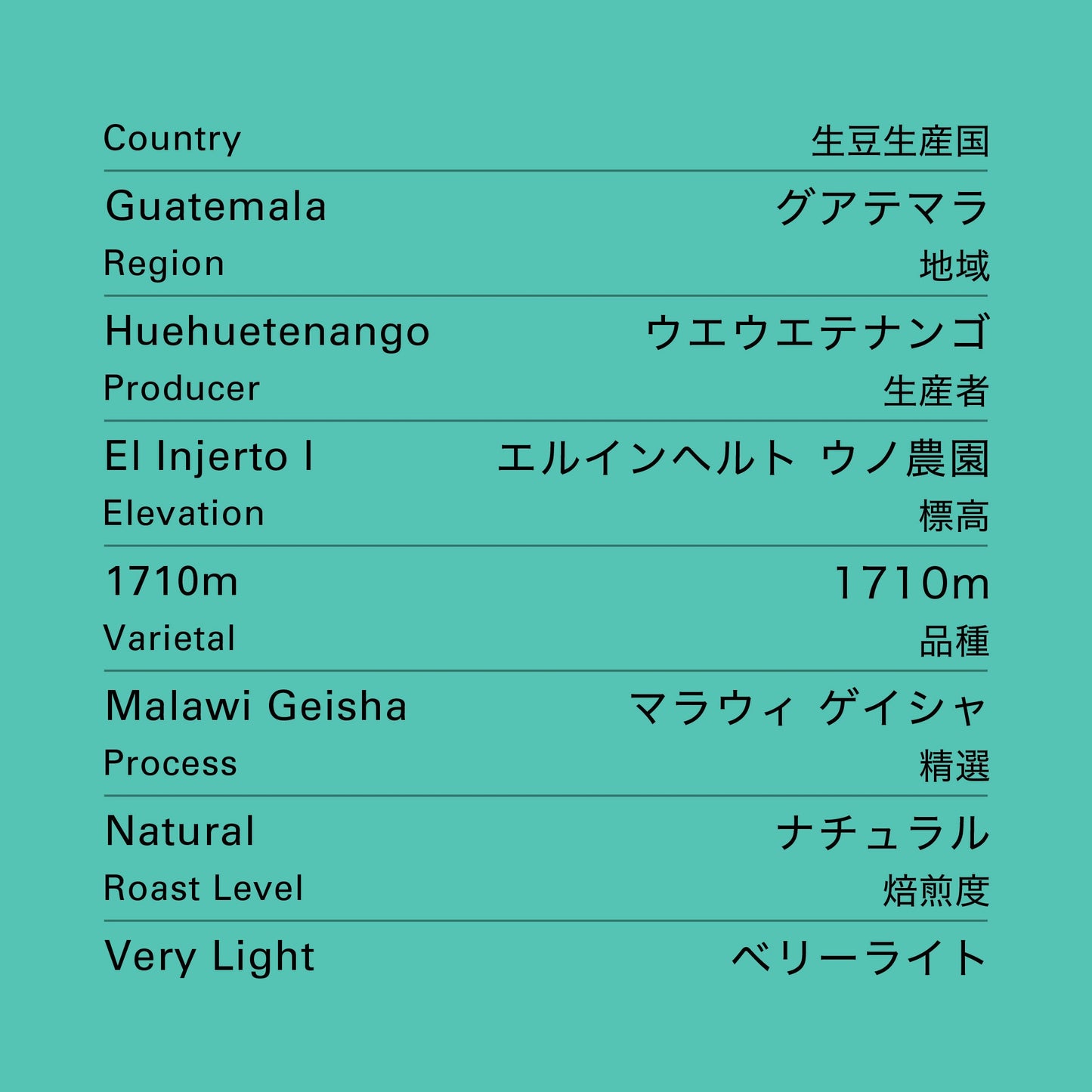 no.40 グアテマラ エルインヘルト ウノ ゲイシャ ナチュラル 100g