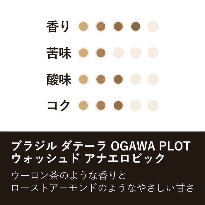 ブラジル ダテーラ OC PLOT ウォッシュド アナエロビック(豆)150g