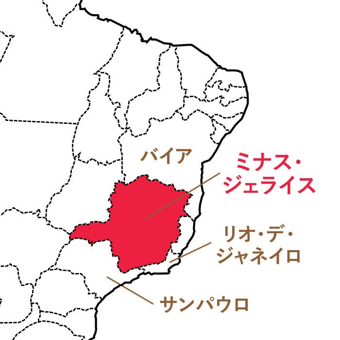 ブラジル ダテーラ OC PLOT ウォッシュド アナエロビック(豆)150g