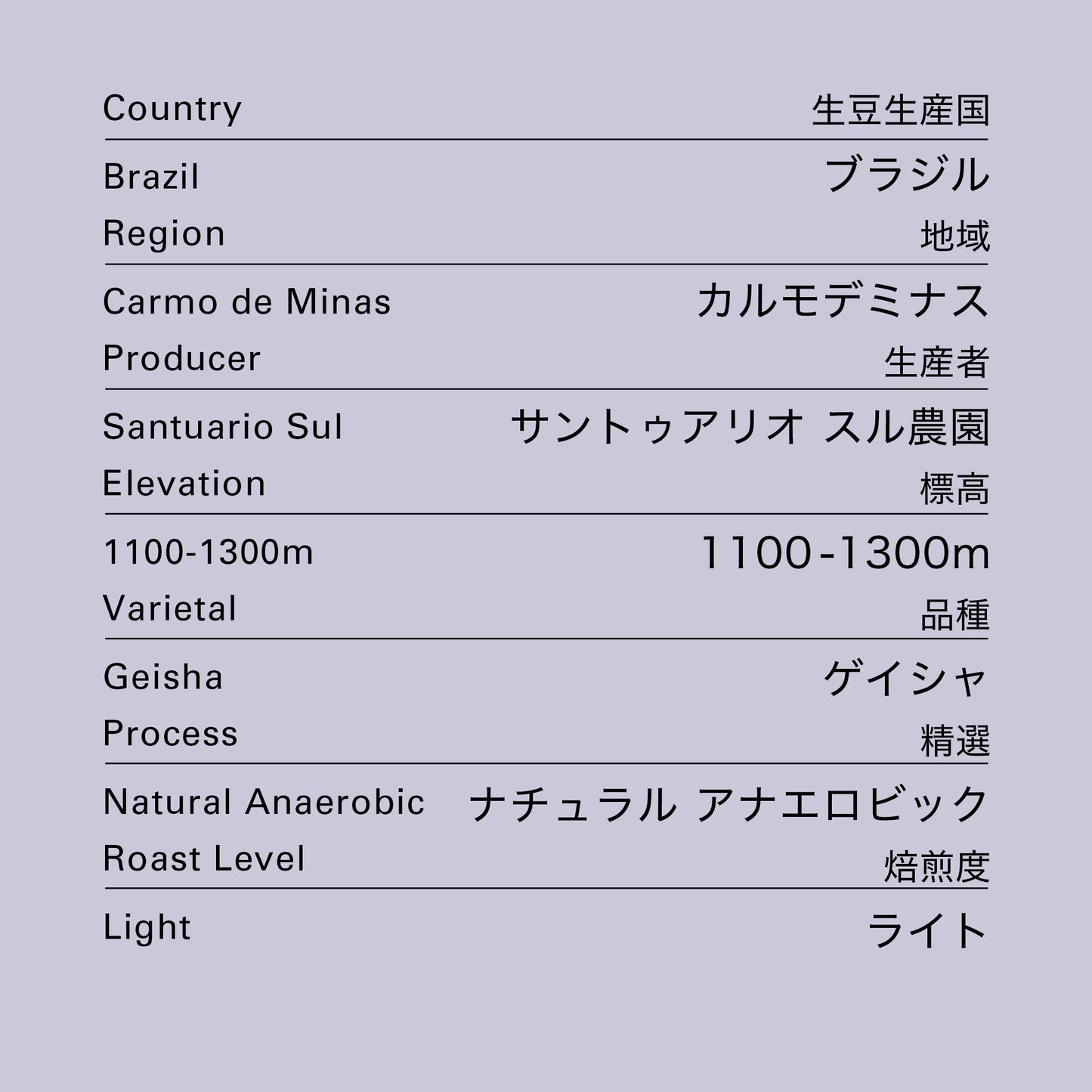 no.48 ブラジル サントゥアリオ スル ゲイシャ ナチュラル 嫌気発酵 100g