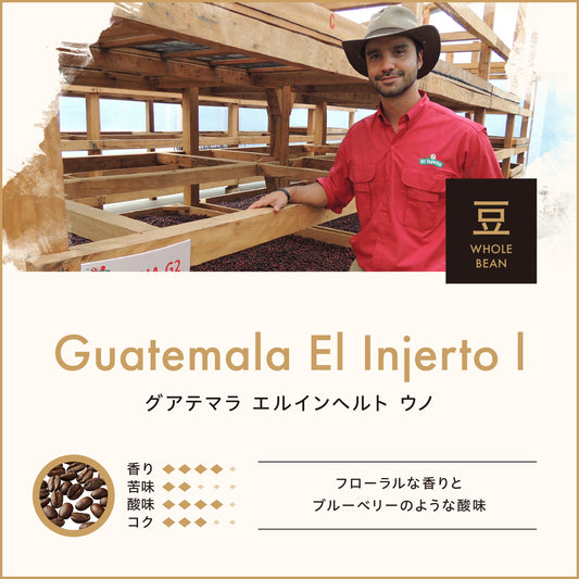 グアテマラ エルインヘルト ウノ(豆)150g  No.941