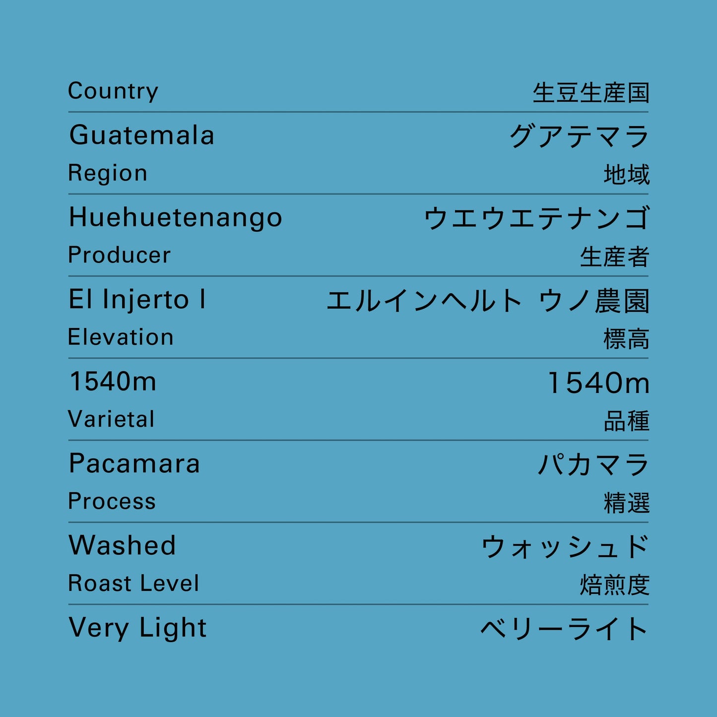 【生豆】グアテマラ エルインヘルト ウノ パカマラ ウォッシュド 1kg