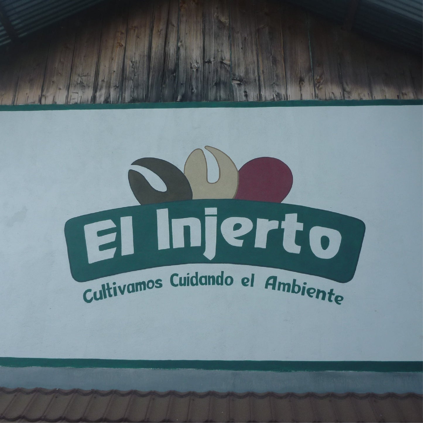 【生豆】グアテマラ エルインヘルト パカマラ ナチュラル 1kg