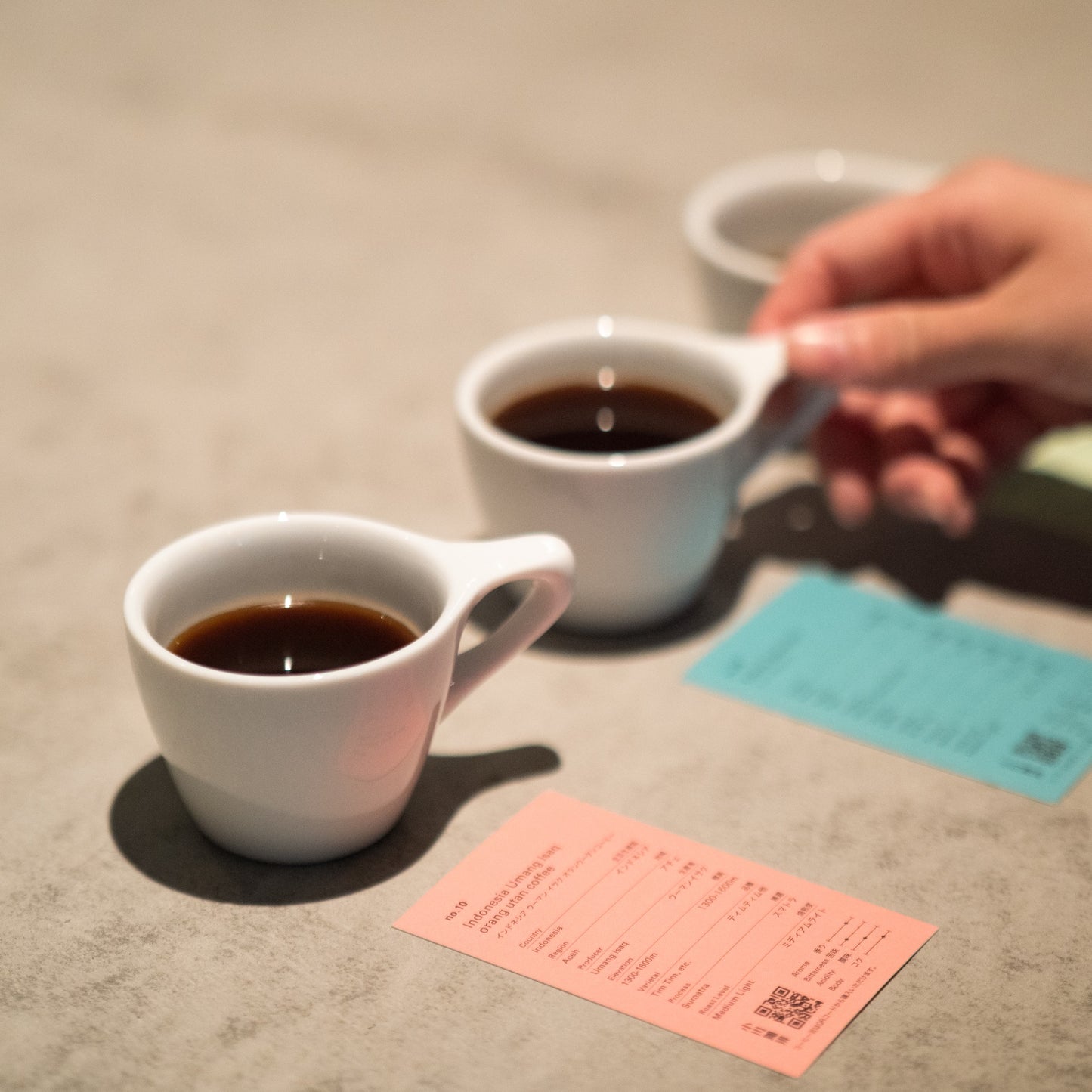 【EC限定】1月テイスティング セット 50gx3種