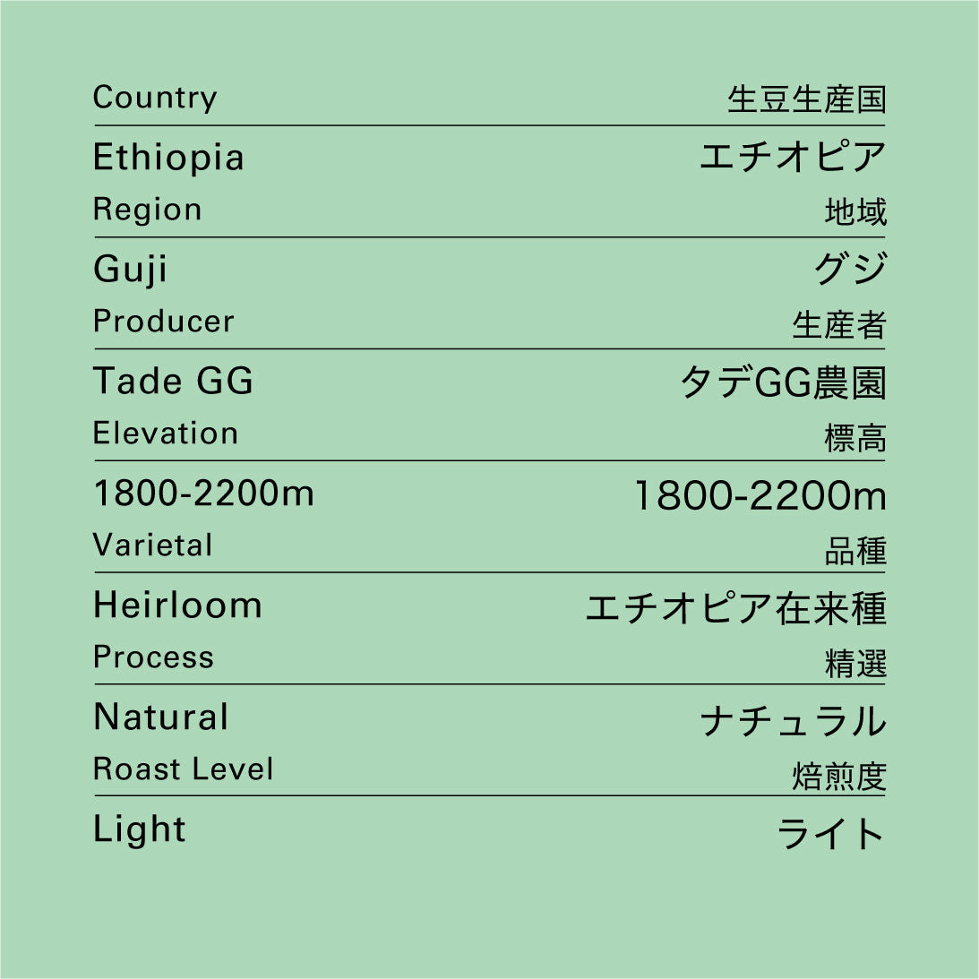 no.45 エチオピア タデ GG ナチュラル 100g
