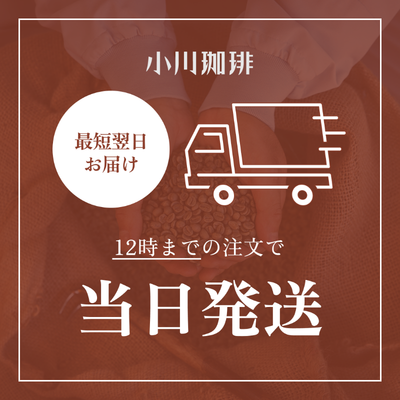 当日発送 最短翌日お届け