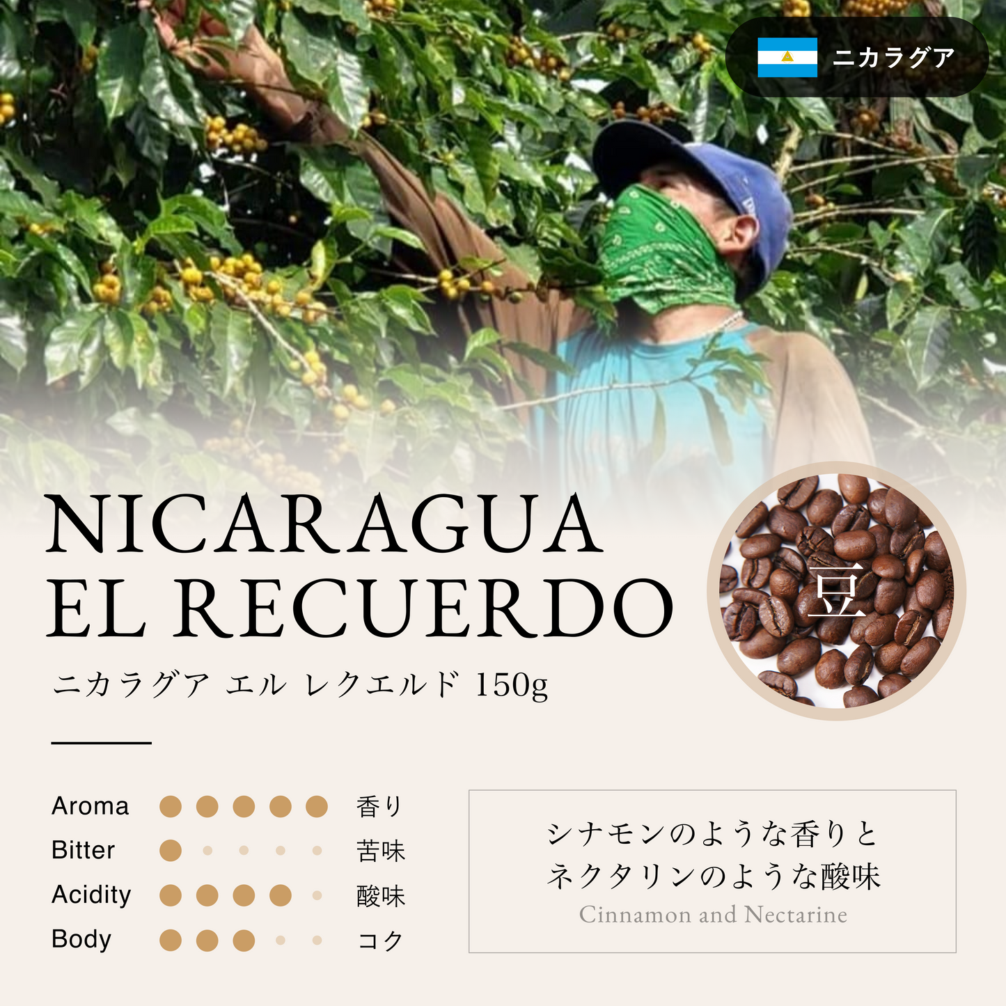 ニカラグア エル レクエルド(豆)150g