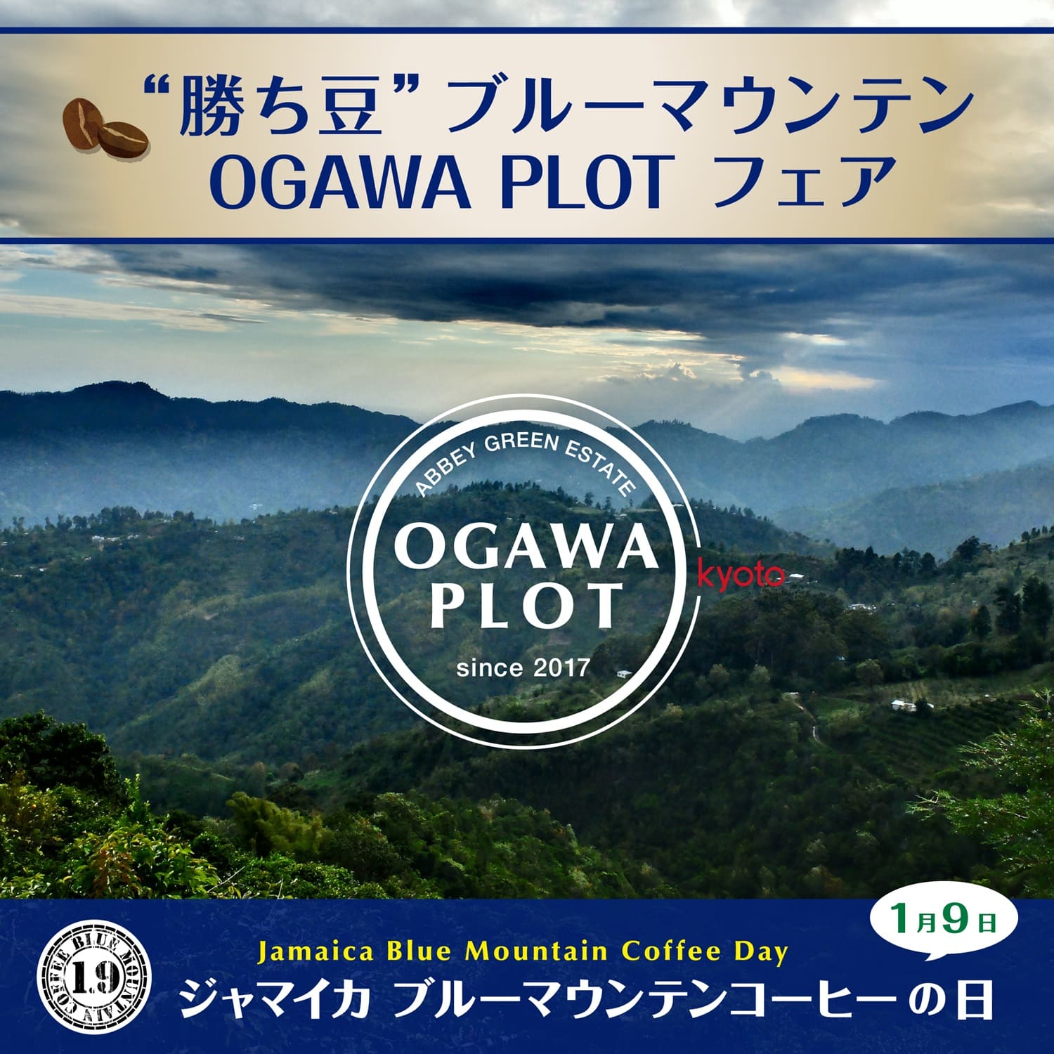 ブルーマウンテンNo.1 OGAWA PLOT(豆)100g