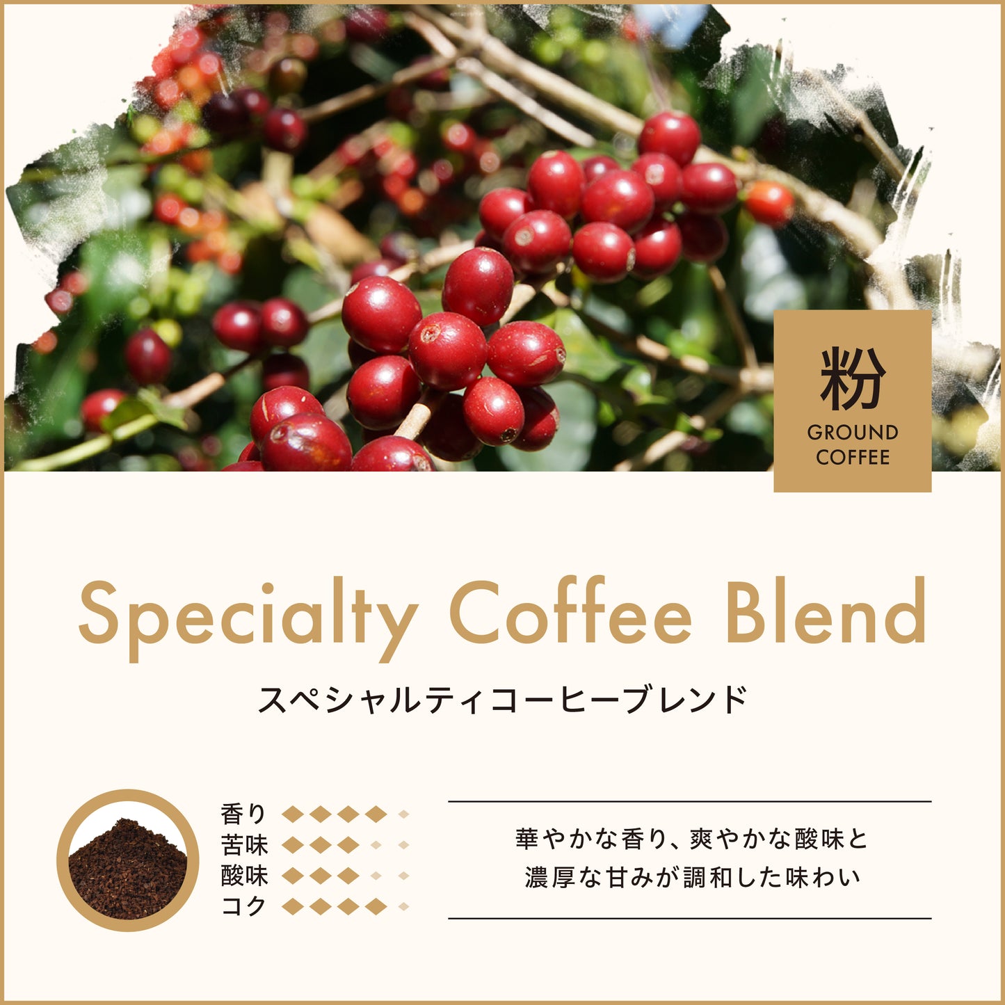 スペシャルティコーヒーブレンド（粉）150g　No.936