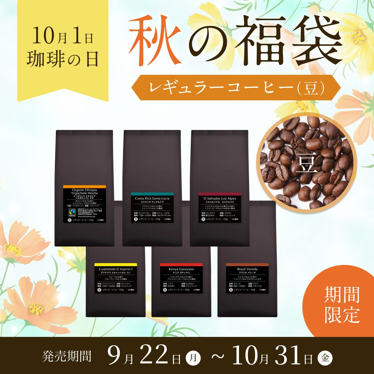 コーヒーの日 福袋 送料無料