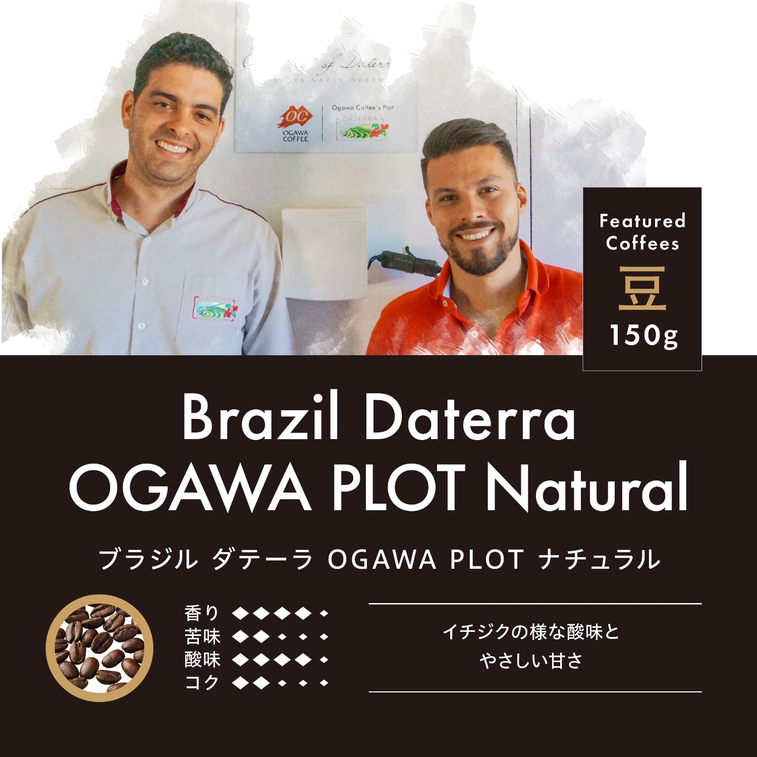 ブラジル ダテーラ OGAWA PLOT ナチュラル 豆 150g