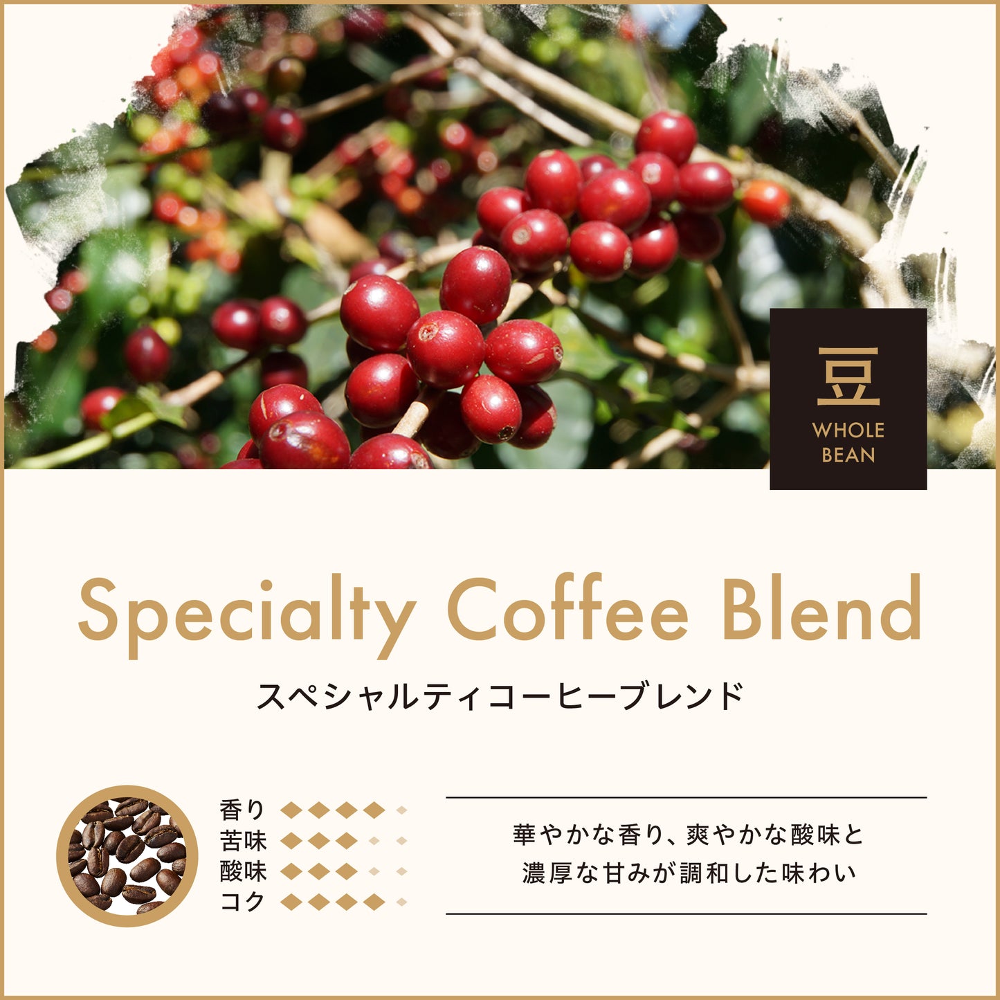 スペシャルティコーヒーブレンド（豆）150g　No.937