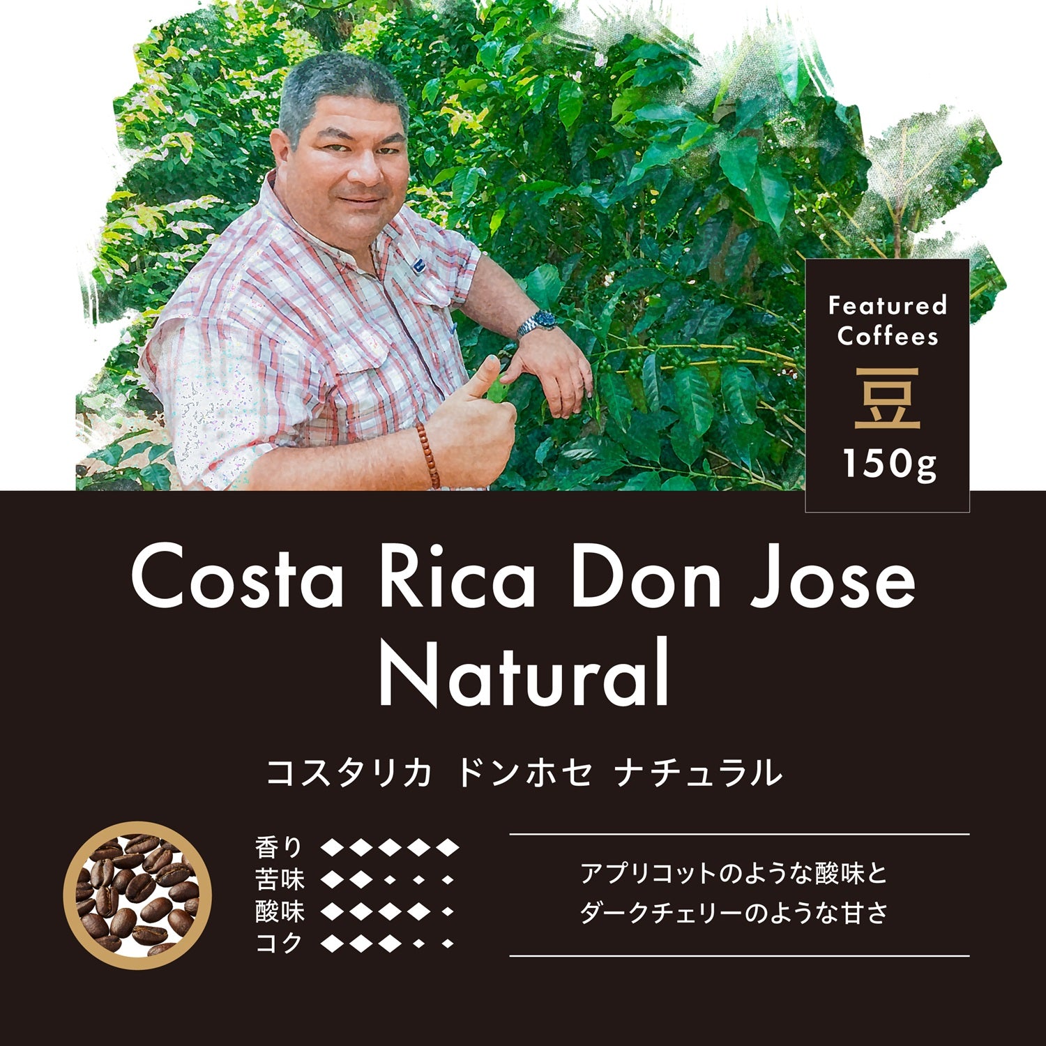 コスタリカ ドンホセ ナチュラル 豆 150g | 【公式】小川珈琲