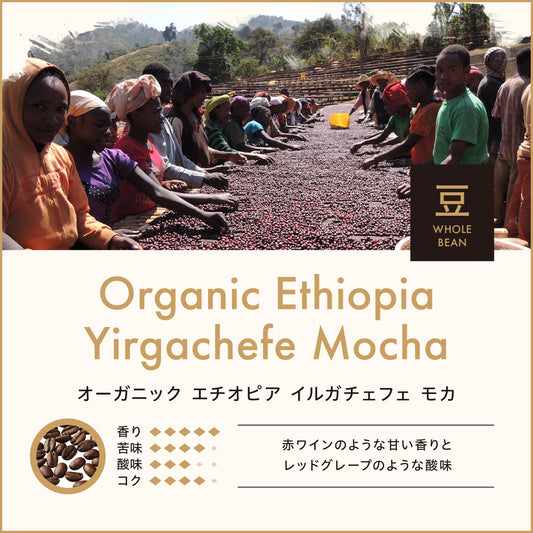 オーガニック エチオピア イルガチェフェ モカ(豆)150g No.932