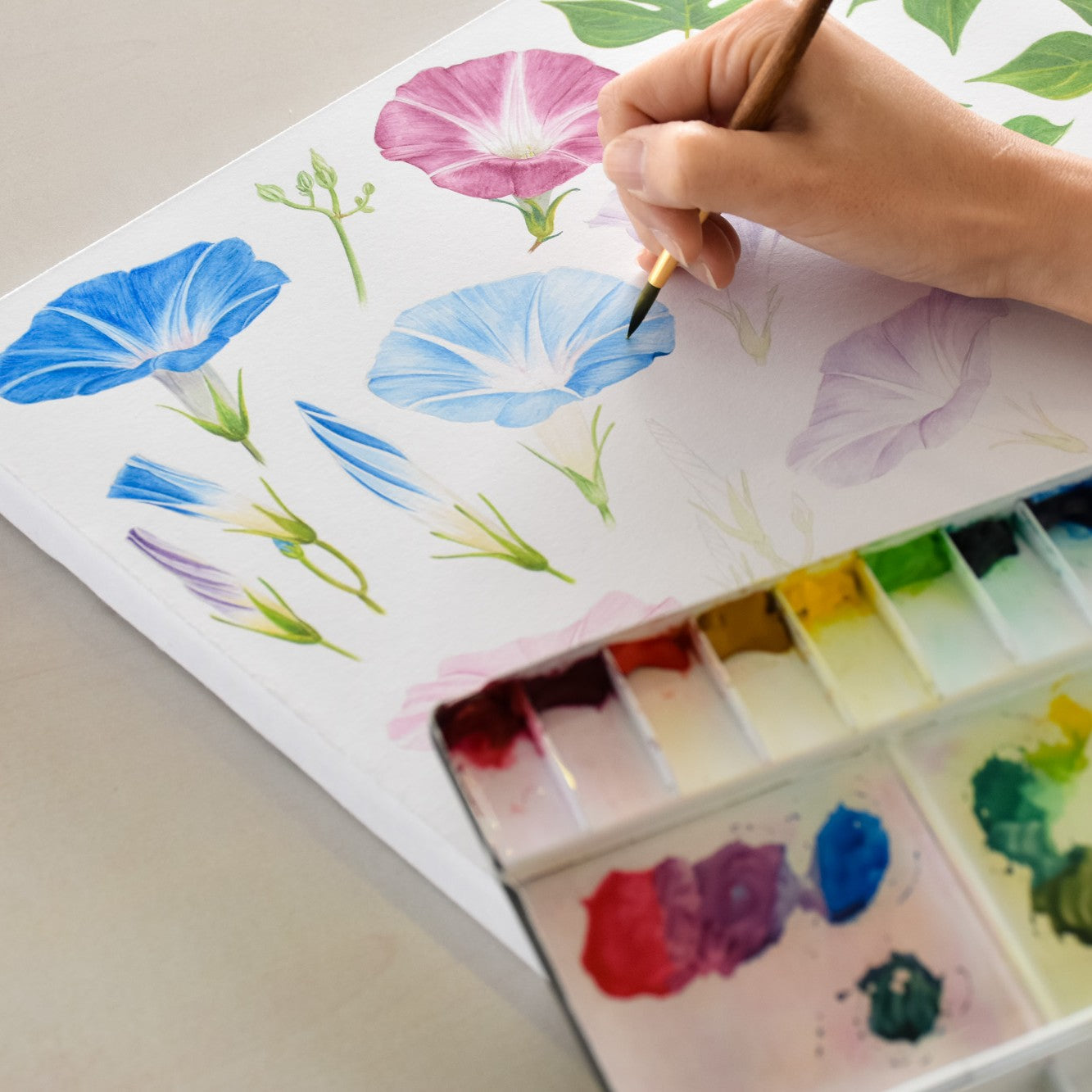 期間限定 夏珈琲 パッケージ