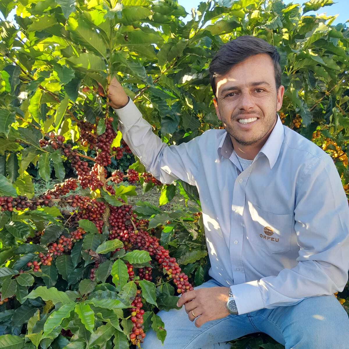 ブラジル ハイーニャ 農園