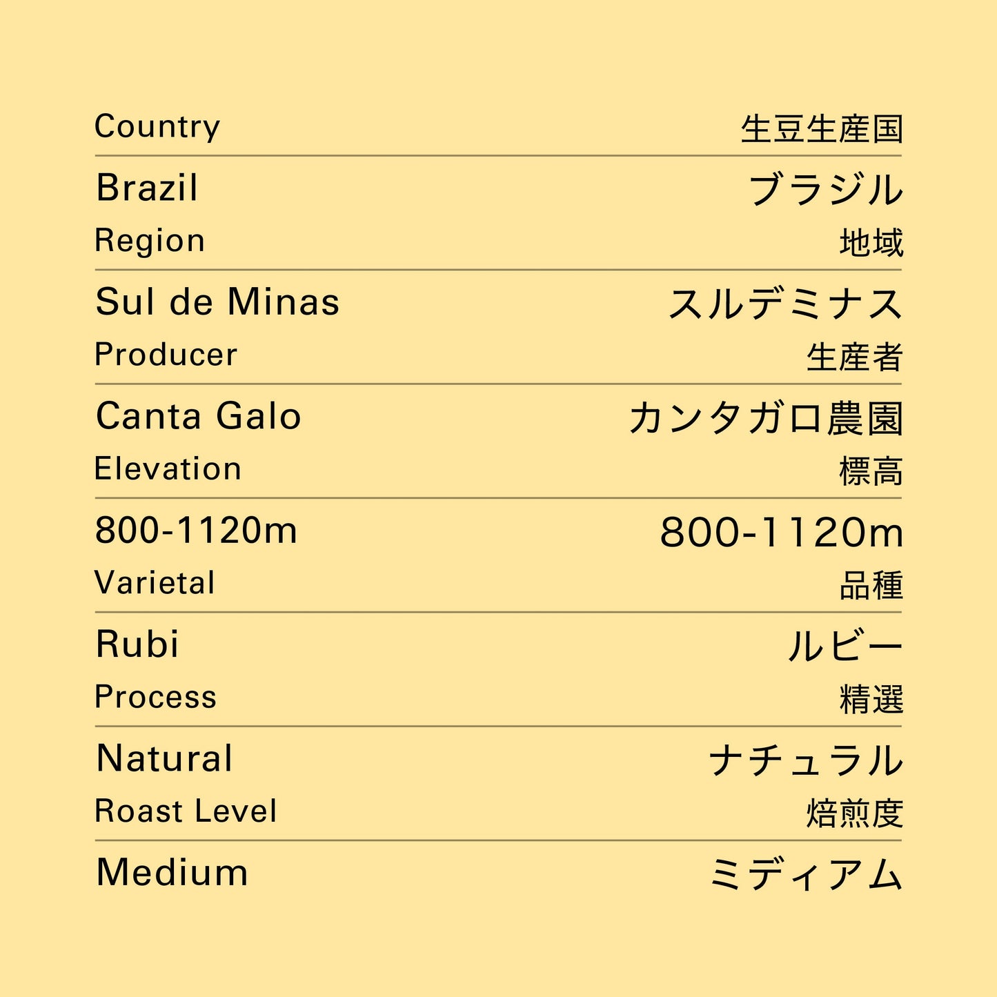 no.06 ブラジル カンタガロ 100g