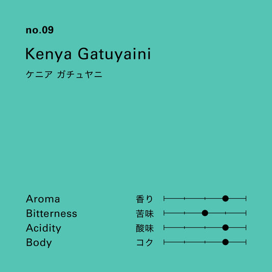 no.09 ケニア ガチュヤニ 100g