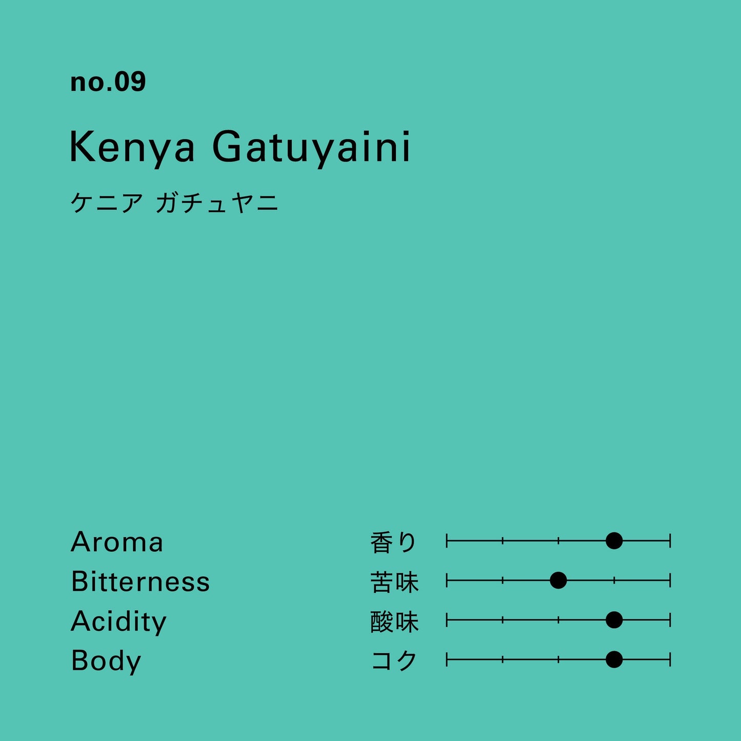 no.09 ケニア ガチュヤニ 100g