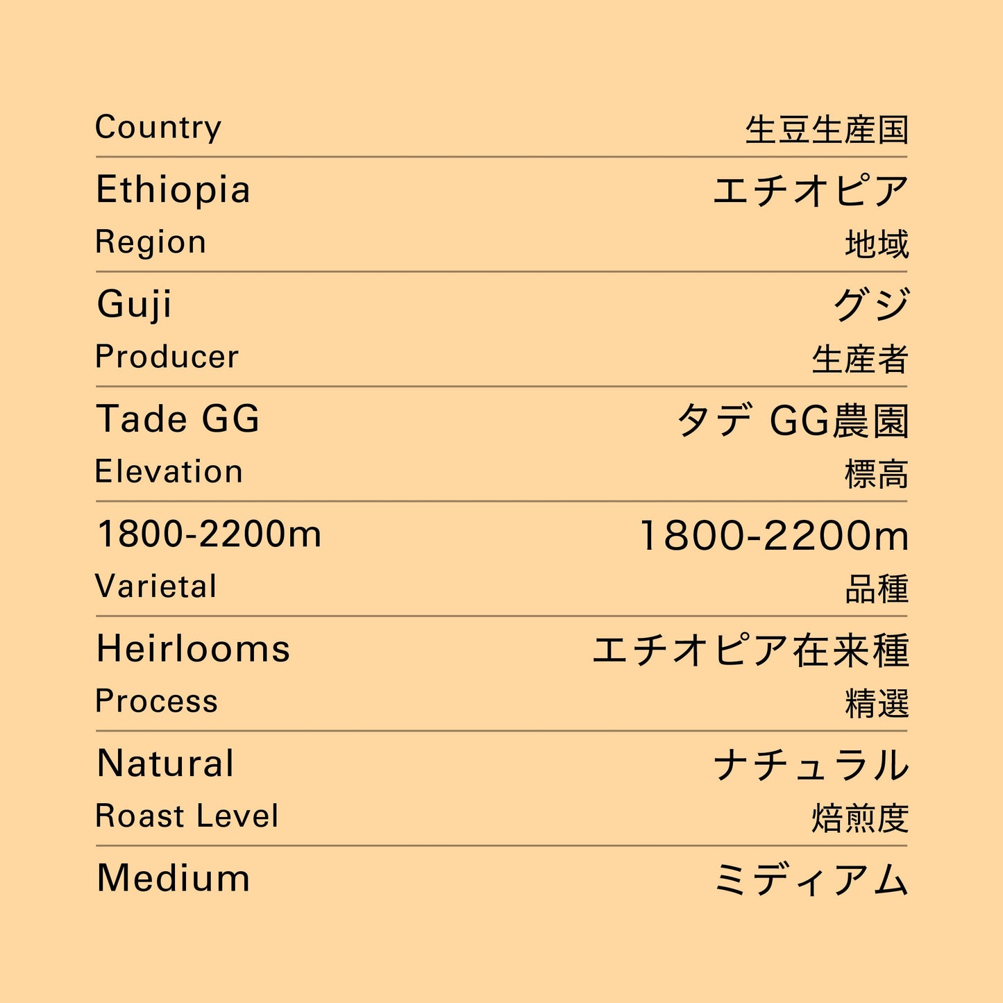 no.11 カフェインレス エチオピア モカ 100g