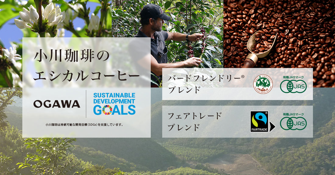 【エシカルコーヒーとは？】持続可能なコーヒー豆の調達と栽培環境づくり