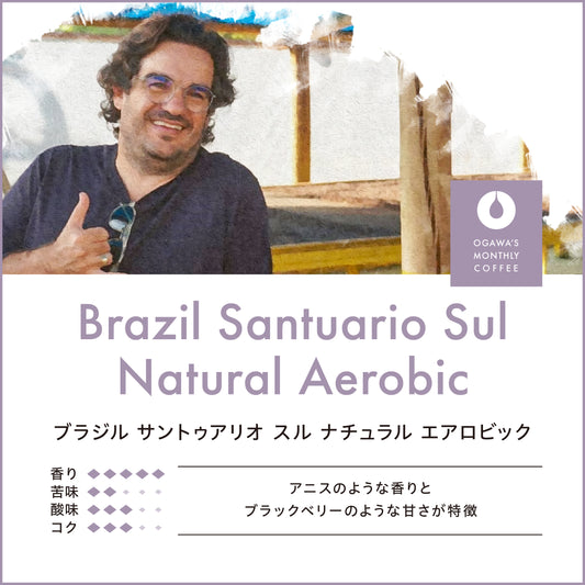 ブラジル サントゥアリオ スル ナチュラル エアロビック （豆）150ｇ　No.6250
