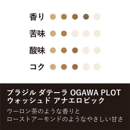 ブラジル ダテーラ OC PLOT ウォッシュド アナエロビック（粉）150g