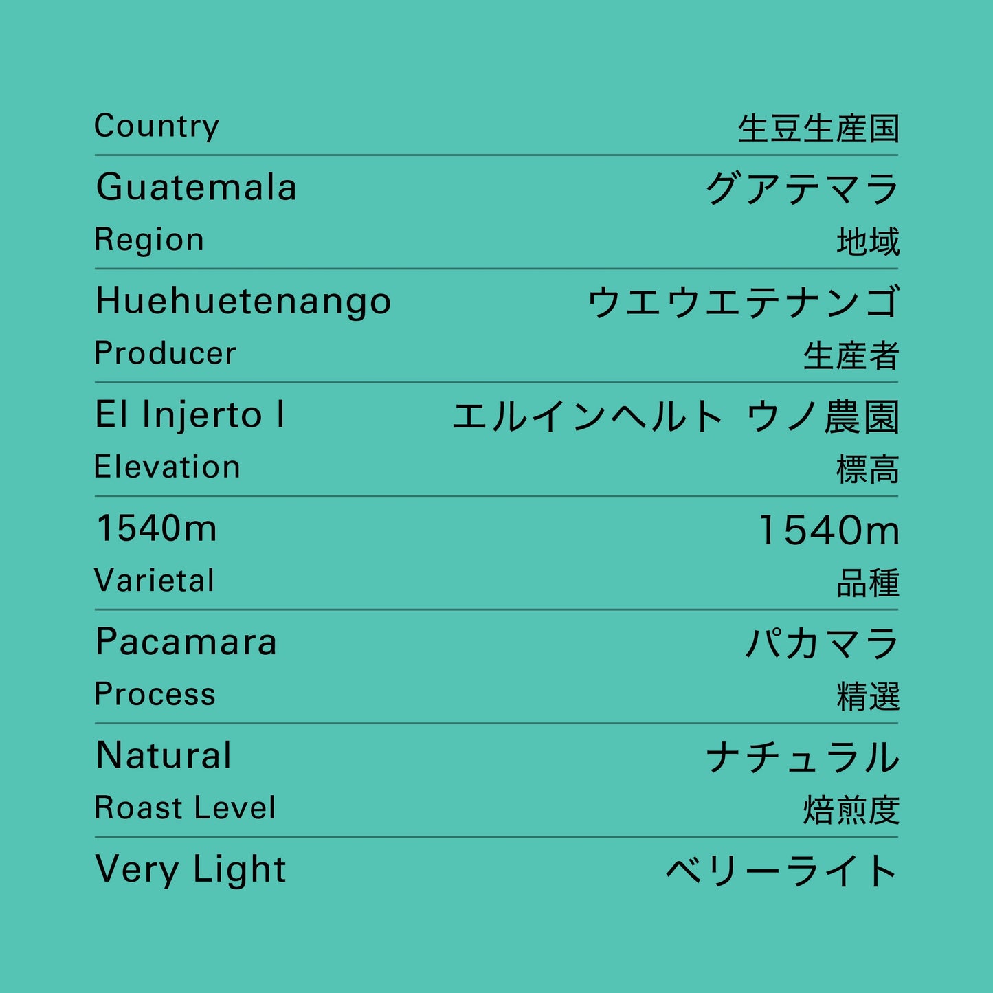 【生豆】グアテマラ エルインヘルト ウノ パカマラ ナチュラル 1kg