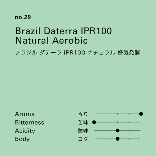 no.29 ブラジル ダテーラ IPR100 ナチュラル 好気発酵