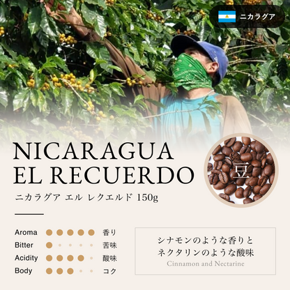 ニカラグア エル レクエルド（豆）150g