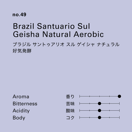 no.49 ブラジル サントゥアリオ スル ゲイシャ ナチュラル 好気発酵