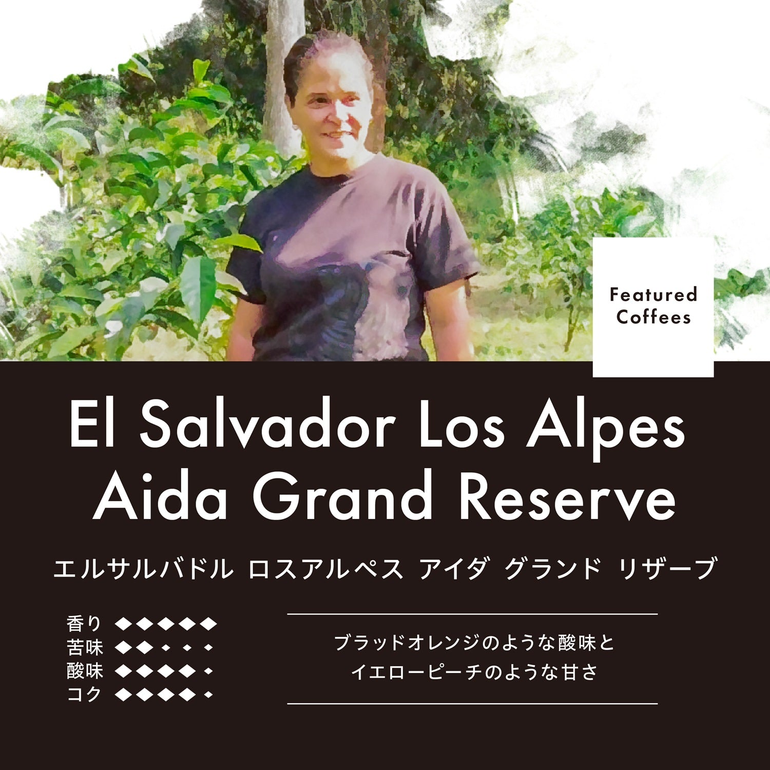 エルサルバドル ロスアルぺス アイダ グランド リザーブ（豆）150g