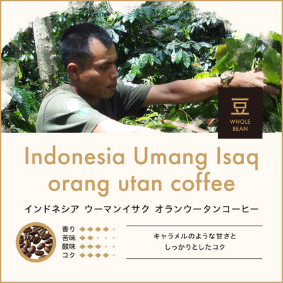 インドネシア ウーマンイサク オランウータンコーヒー（豆）150g　No.968