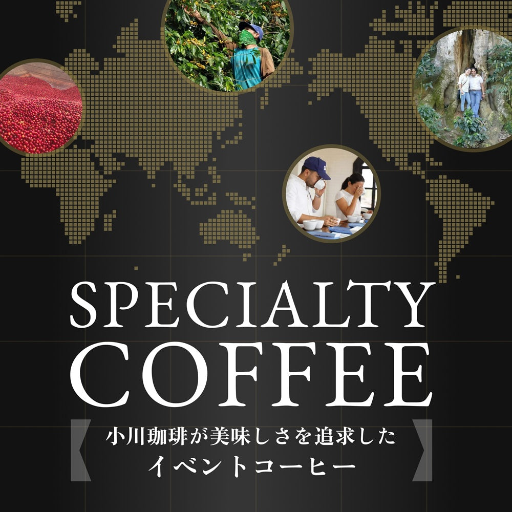 数量限定 スペシャルティ シングルオリジンコーヒー