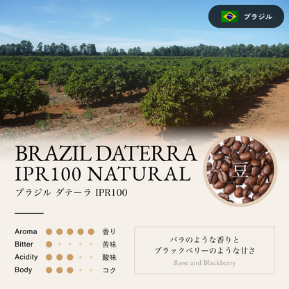ブラジル ダテーラ アイピーアール100 ナチュラル（豆）100g