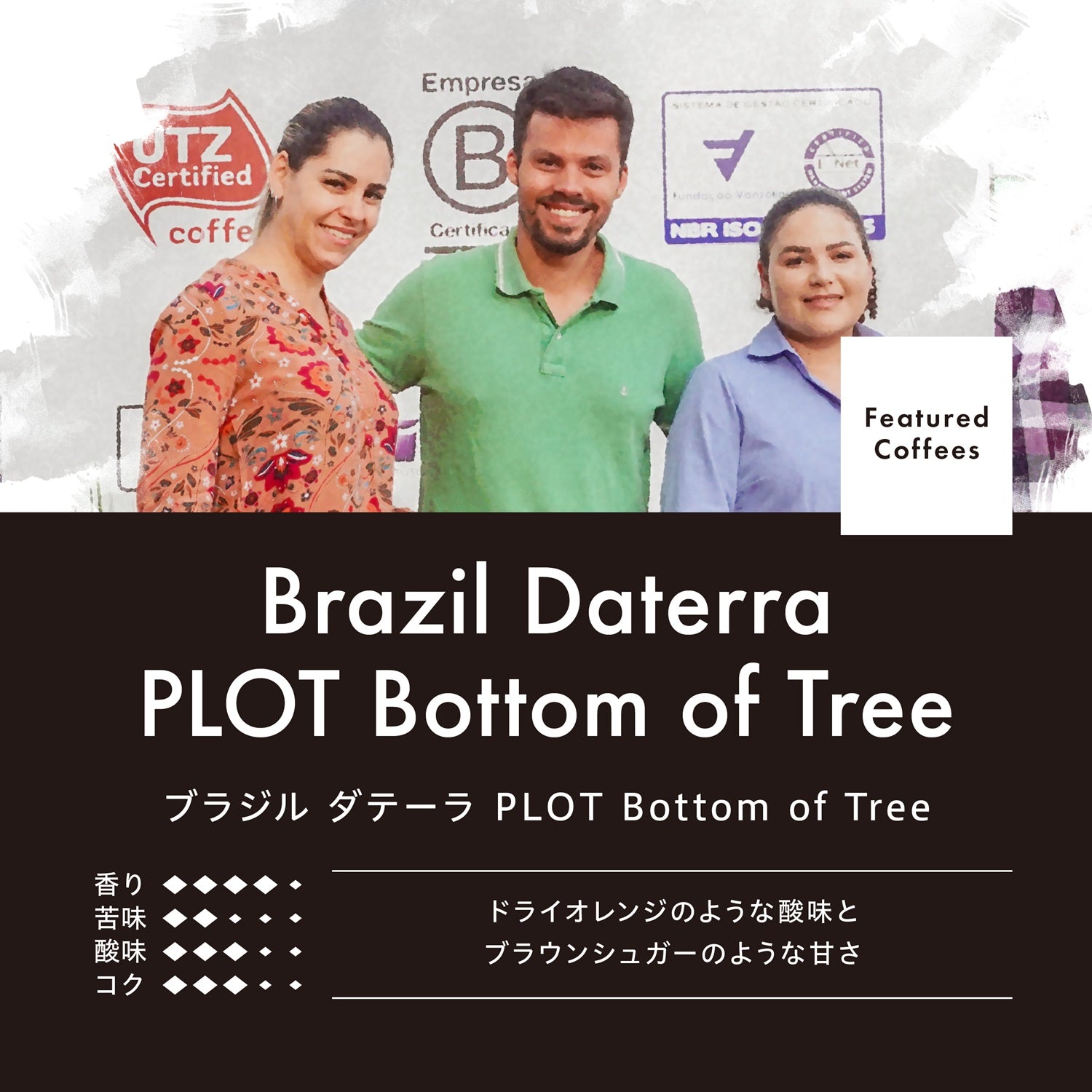 ブラジル ダテーラ OGAWA PLOT ボトム オブ ツリー （豆） 150g
