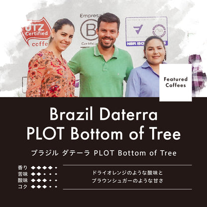 ブラジル ダテーラ OGAWA PLOT ボトム オブ ツリー （豆） 150g