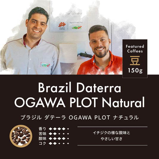 ブラジル ダテーラ OGAWA PLOT ナチュラル 豆 150g